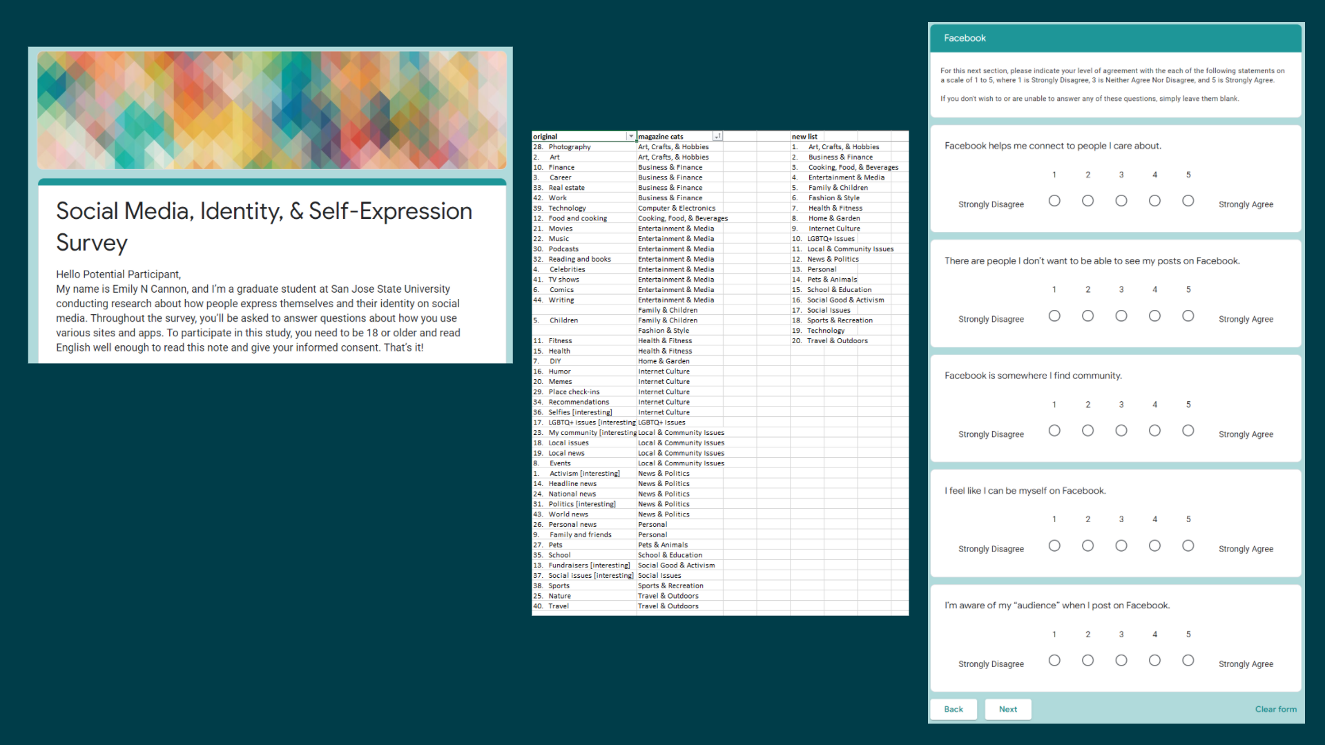 Portfolio Highlight: Social Media Survey